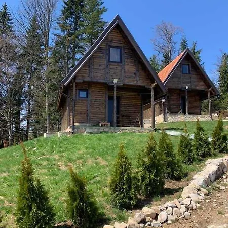 Nest&rest-vikendice Tara Holiday home *