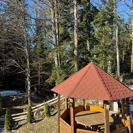 Nest&rest-vikendice Tara Holiday home